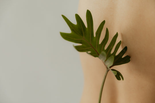 These botanical aphrodisiacs boost libido