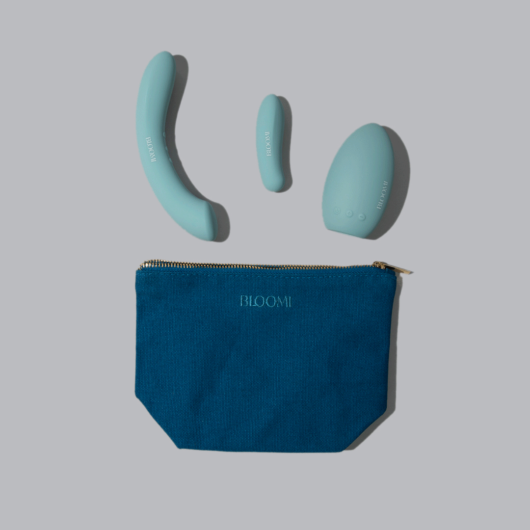 Tote Sex Toy Bag - Adult Toy Storage, Pleasure Purse | Bloomi Tote Sex Toy Bag - Adult Toy Storage, Pleasure Purse | Bloomi