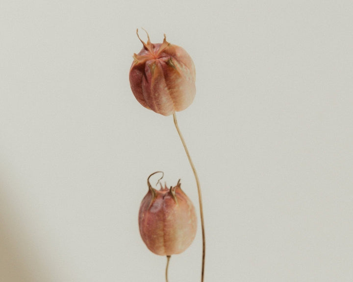 How to talk about sex: a guide for partners, parents, and kids