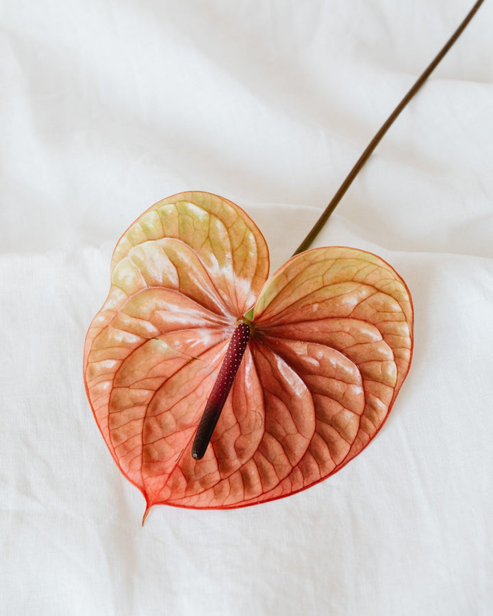 3 self-care gift ideas for your friends