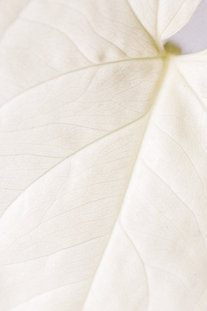Tips for affordably transitioning to clean intimate care