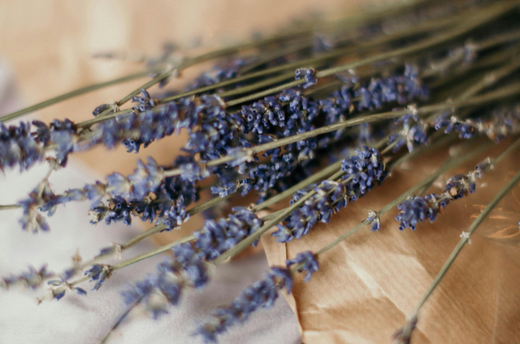 4 lavender benefits you might have not known about