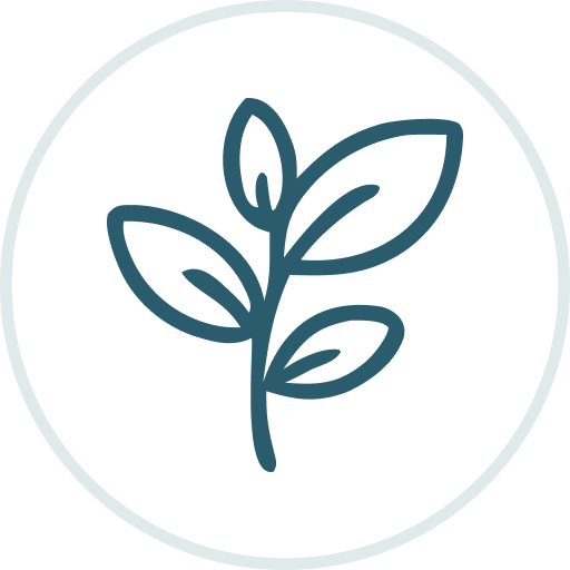 Plant-Based Formula