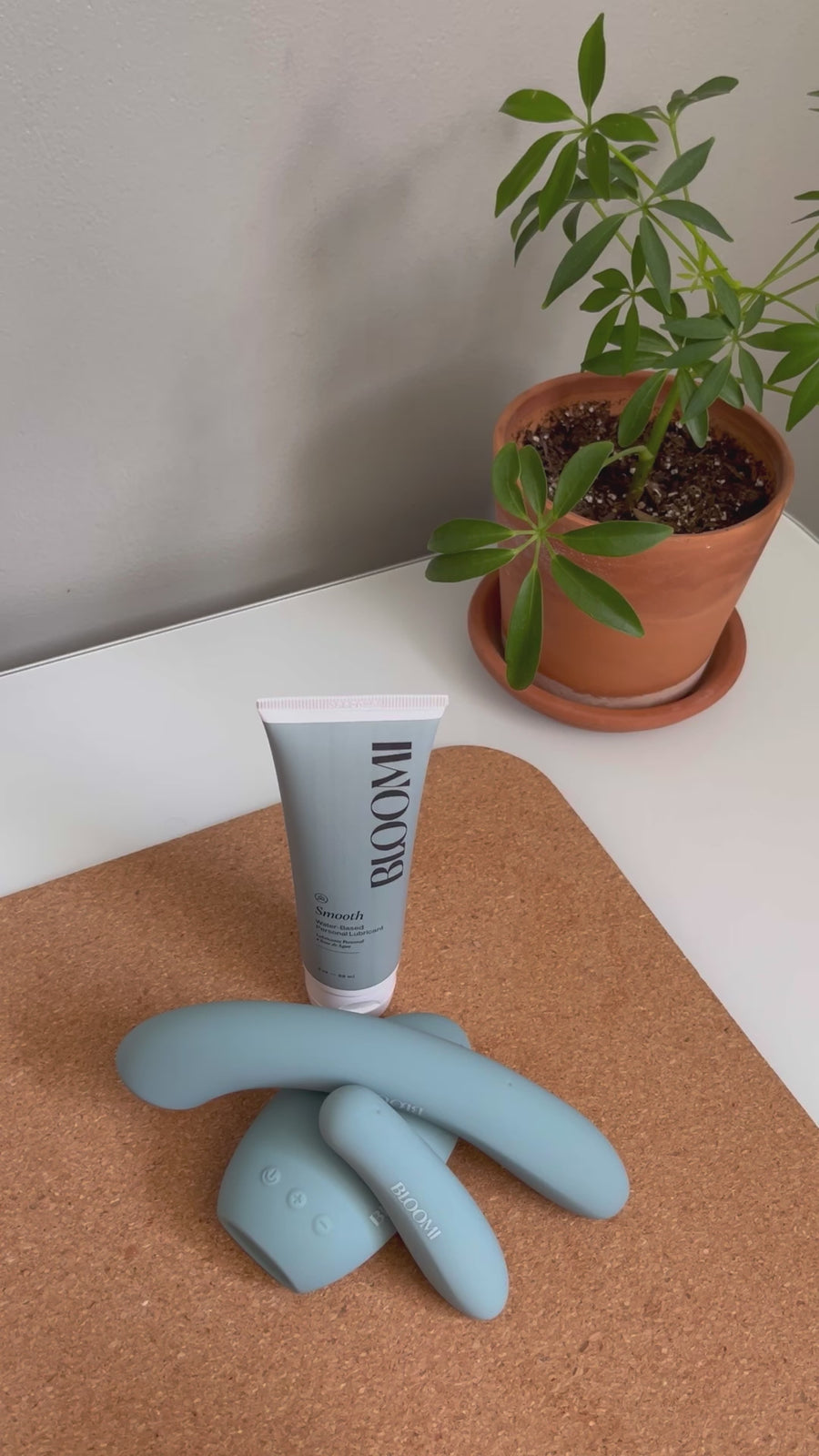 Bloomi vibrators and Smooth Personal Lubricant